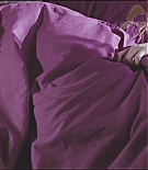 ERO-411.jpg