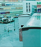 ERO-464.jpg