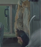 ERO-B059.jpg