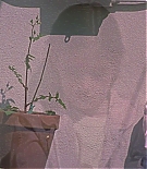 ERO-B162.jpg
