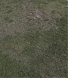 ERO-D092.jpg