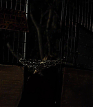 ERO-TBD438.jpg