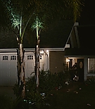 ero_paloalto267.jpg