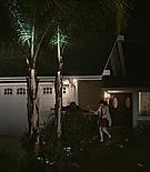 ero_paloalto272.jpg