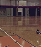 ERO-TWS073.jpg