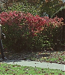 ERO-TWS273.jpg