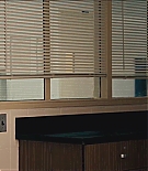 ERO-T235.jpg
