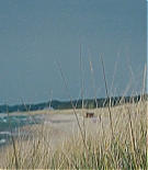 ERO-V076.jpg