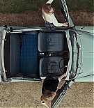 ERO-WC0553.jpg