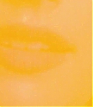 ERO-001.jpg