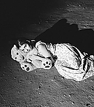 emmarobertsorg003.jpg
