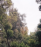 emmarobertsorg016.jpg
